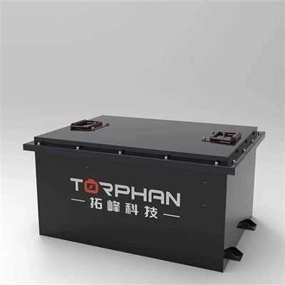 Custom Utility Vehicle Battery Pack